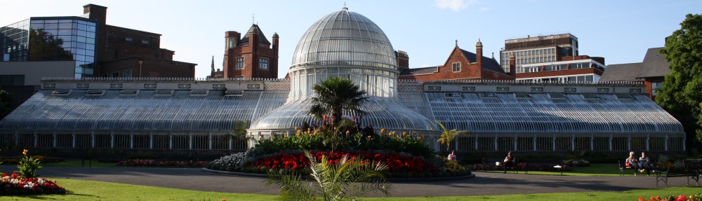 Irish American Scholars