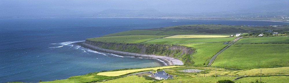 Irish American Scholars